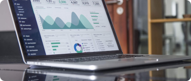 Data Analysis done via different types of chart shown on laptop screen