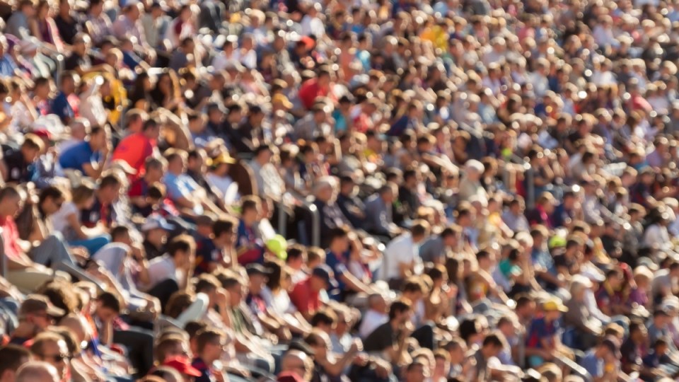 Le marché mondial du cricket : Se connecter avec les fans et augmenter le retour sur investissement